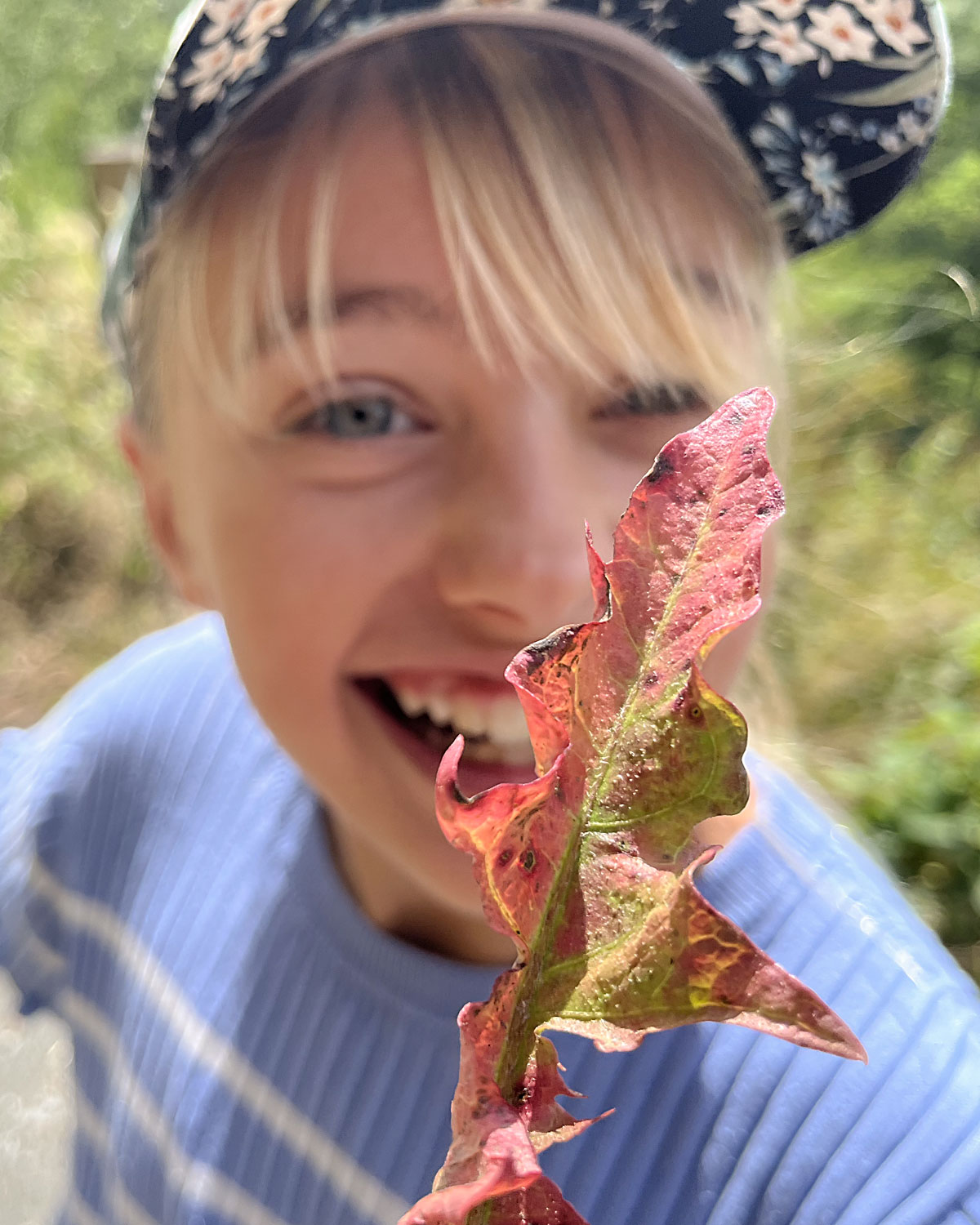 Luise entdeckt ein rotes Blatt im Wald